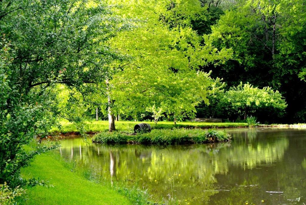 Saint-Amand-en-Puisaye Domaine De Varenne B&B 외부 사진